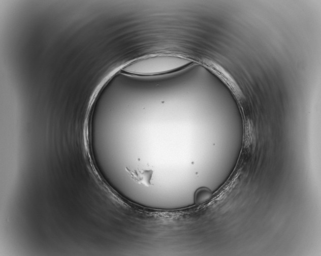 X0000095910812200801251008