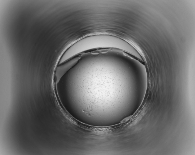 X0000095910813200801251008