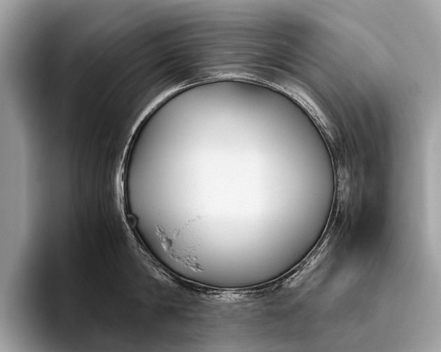 X0000095910814200801251008