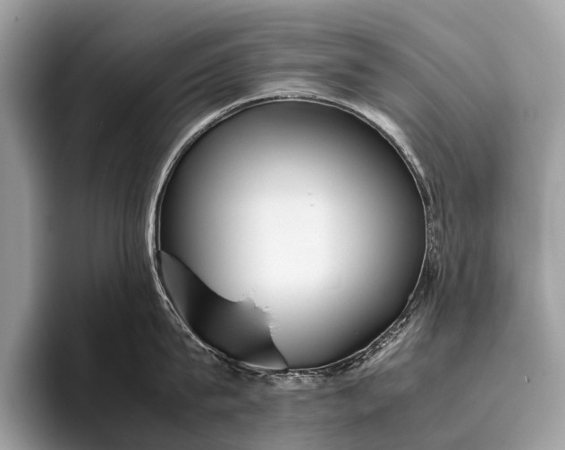 X0000095910815200801251008