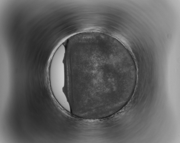 X0000095910816200801251008