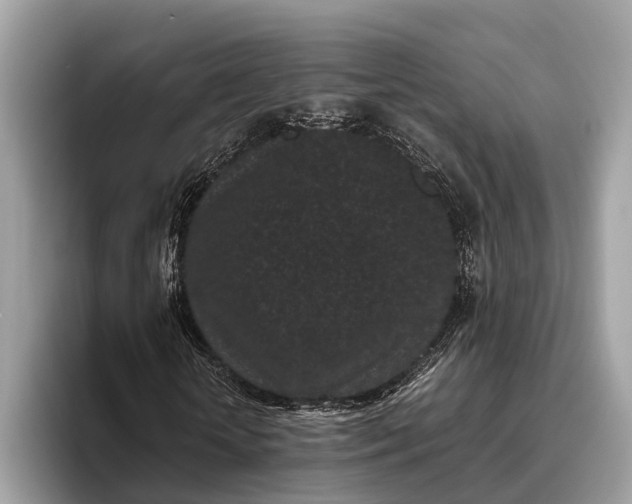 X0000095910818200801251008