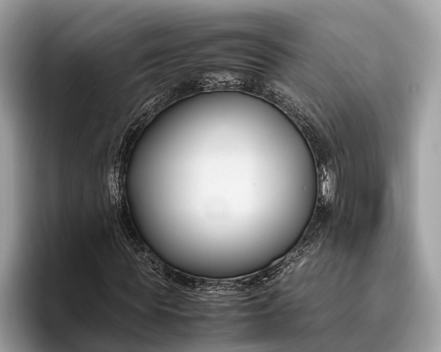 X0000095910819200801251008