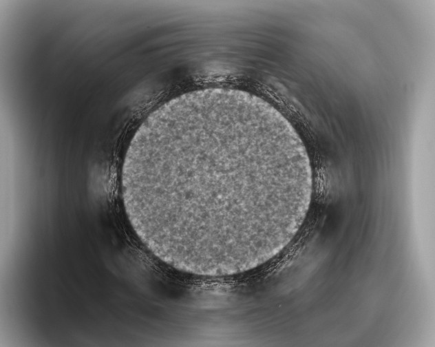 X0000095910820200801251008