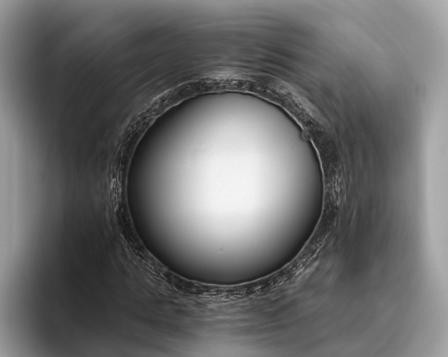 X0000095910821200801251008