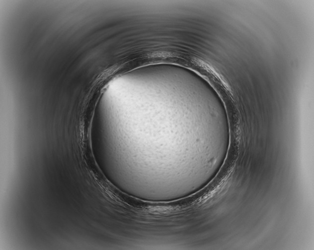 X0000095910825200801251008