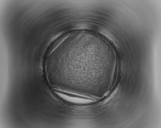 X0000095910826200801251008