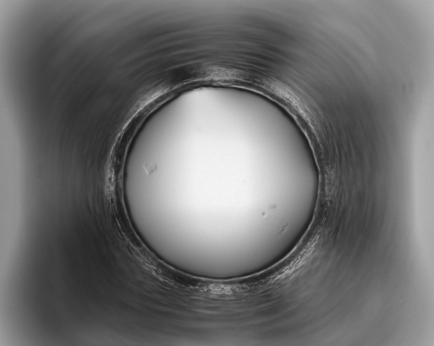 X0000095910827200801251008