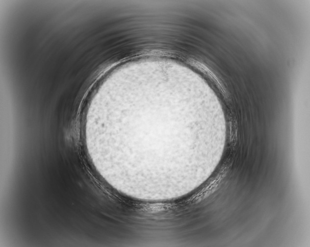 X0000095910828200801251008