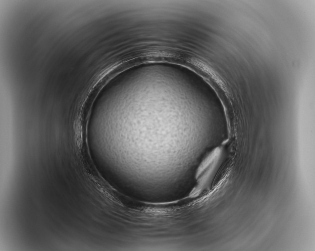 X0000095910829200801251008