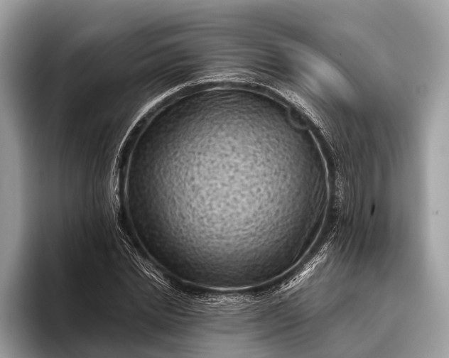 X0000095910830200801251008