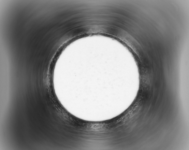 X0000095910832200801251008