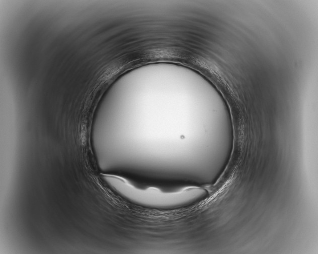 X0000095910833200801251008