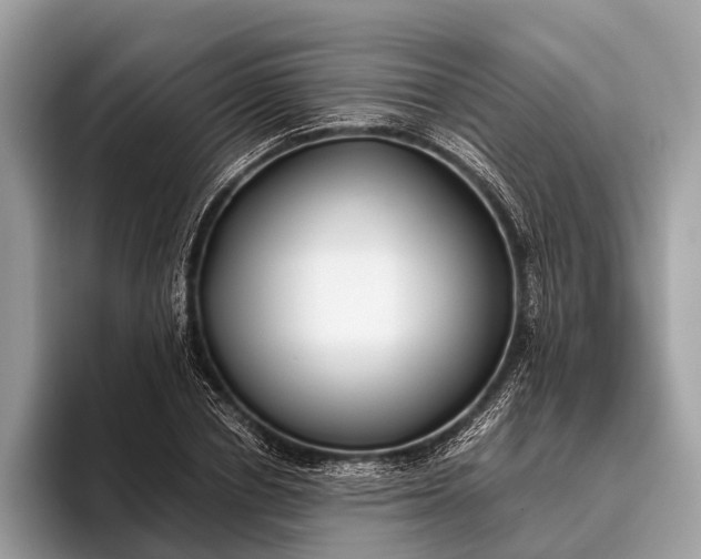 X0000095910834200801251008