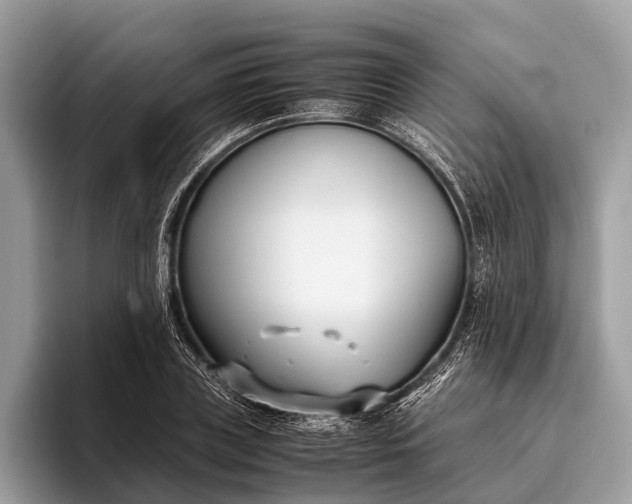 X0000095910835200801251008