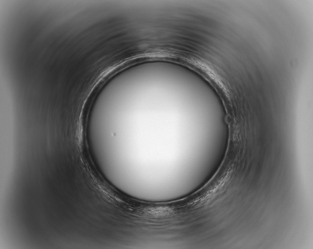 X0000095910837200801251008