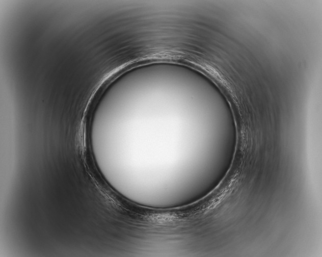 X0000095910838200801251008