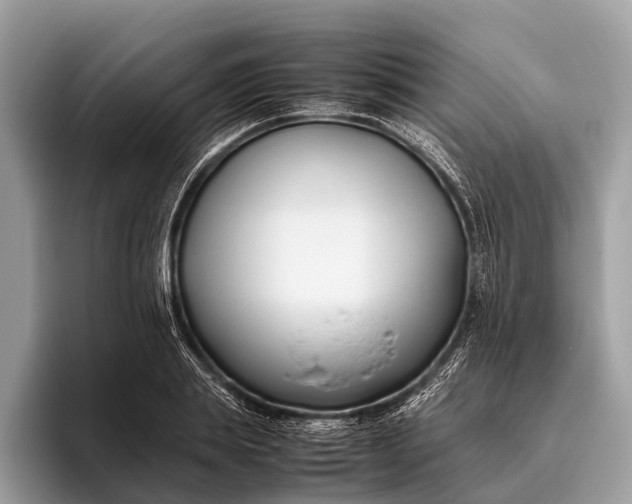 X0000095910839200801251008