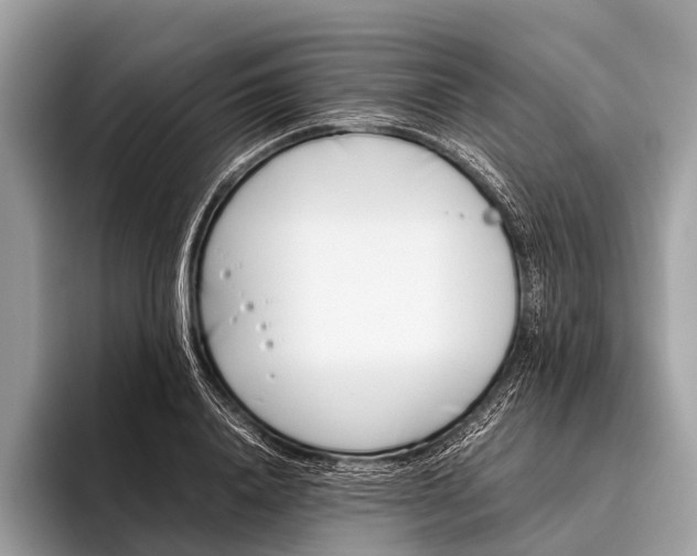 X0000095910840200801251008