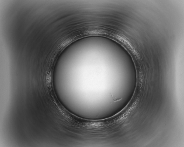 X0000095910841200801251008