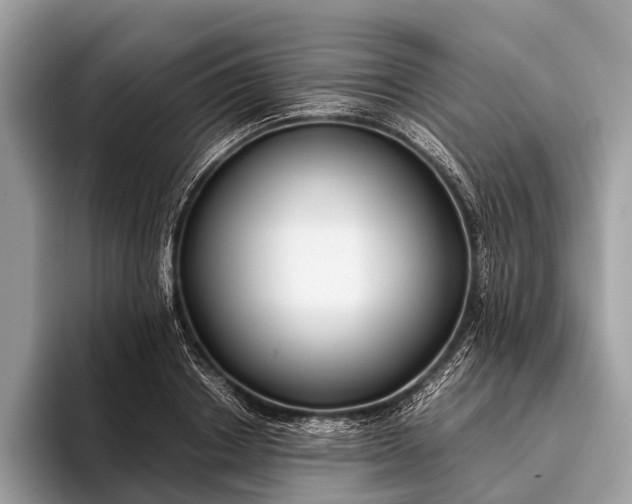 X0000095910842200801251008