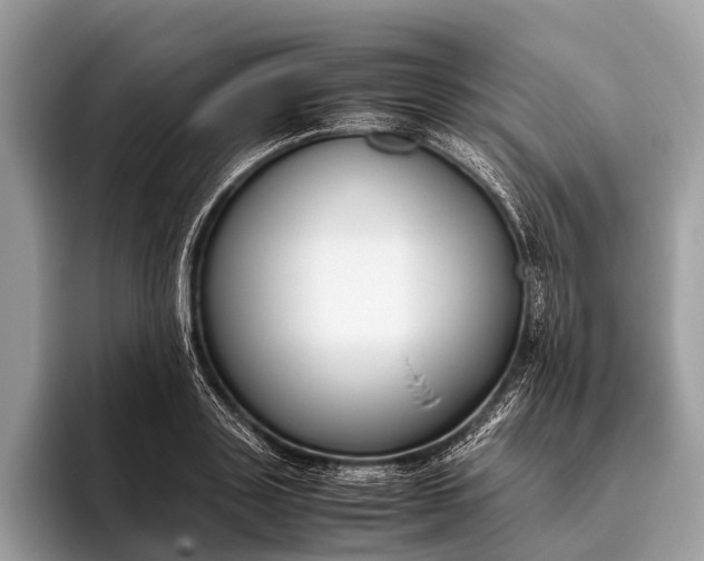 X0000095910843200801251008