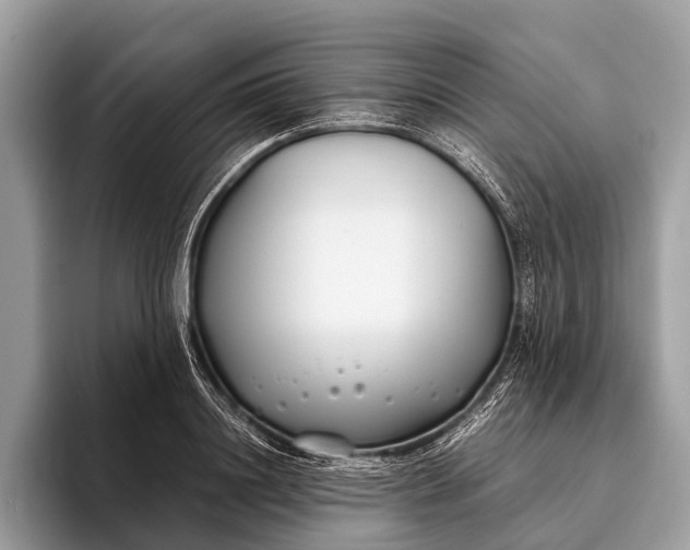 X0000095910844200801251008