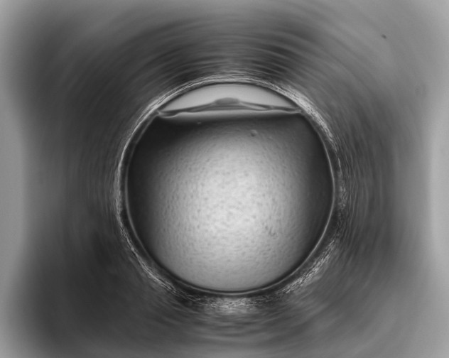 X0000095910845200801251008