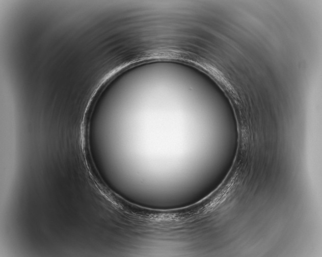 X0000095910846200801251008