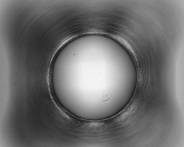 X0000095910847200801251008