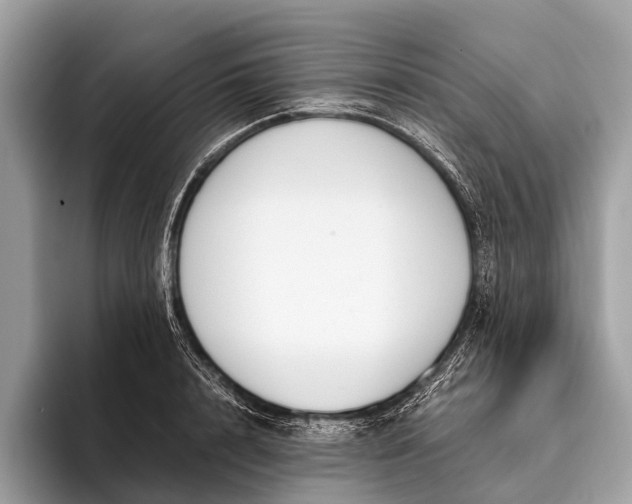 X0000095910848200801251008