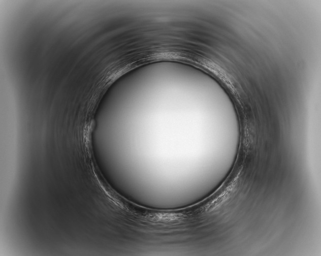 X0000095910849200801251008