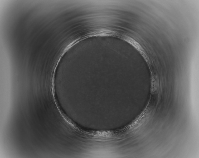 X0000095910850200801251008