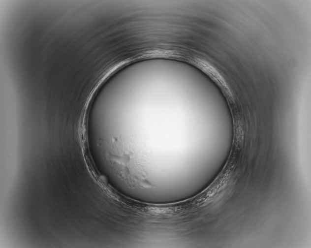 X0000095910852200801251008