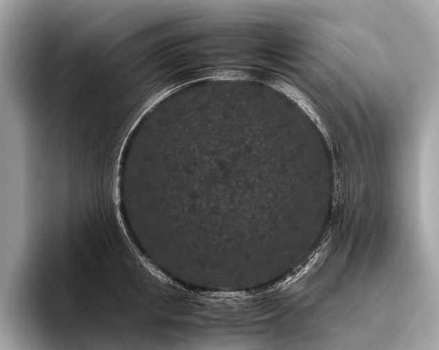 X0000095910853200801251008