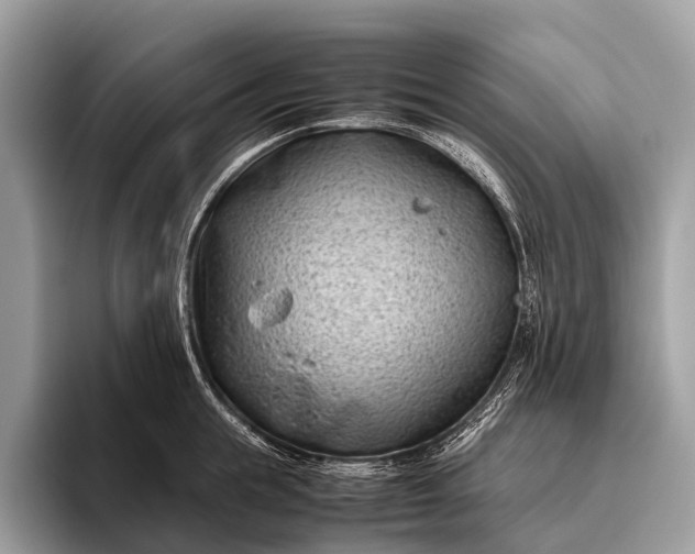 X0000095910855200801251008