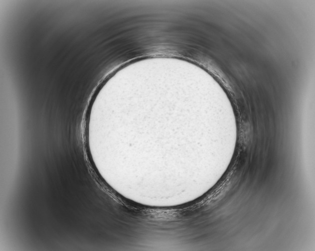 X0000095910856200801251008