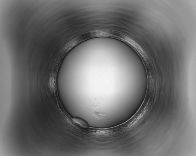 X0000095910857200801251008