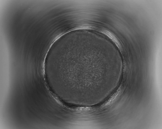 X0000095910858200801251008