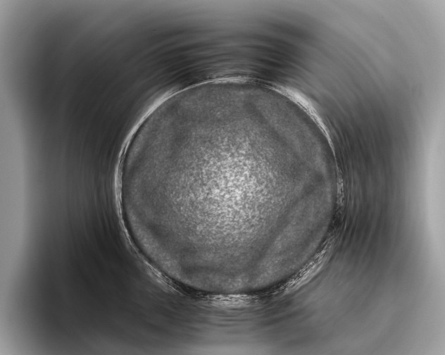 X0000095910859200801251008