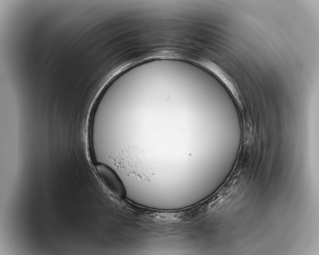 X0000095910861200801251008