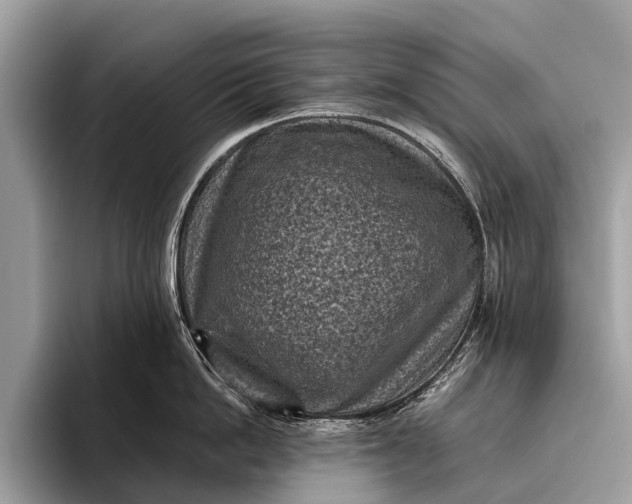 X0000095910862200801251008