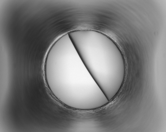 X0000095910864200801251008