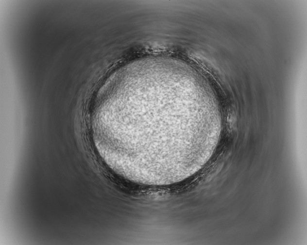 X0000095910865200801251008