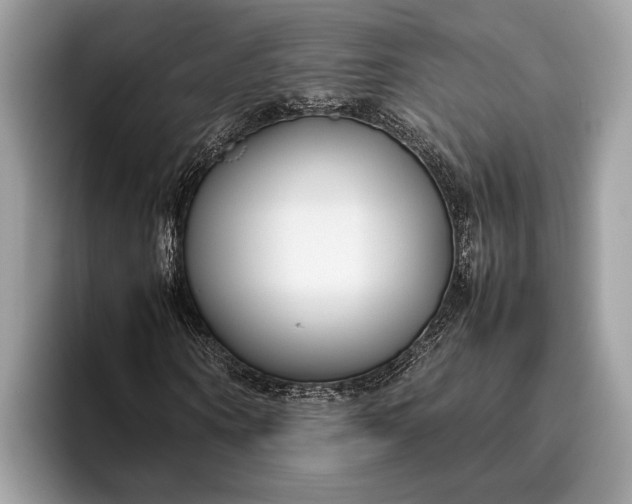 X0000095910866200801251008