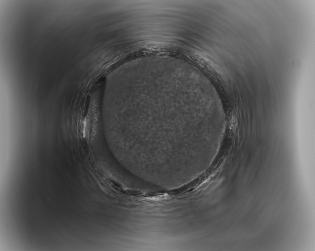 X0000095910868200801251008