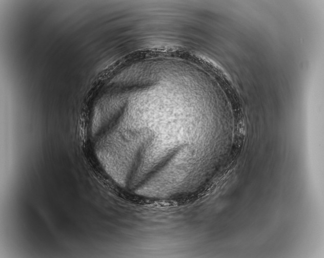 X0000095910869200801251008