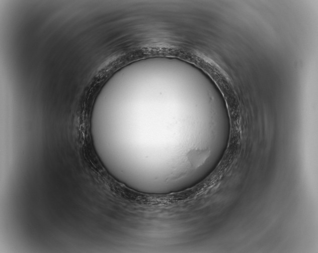 X0000095910870200801251008