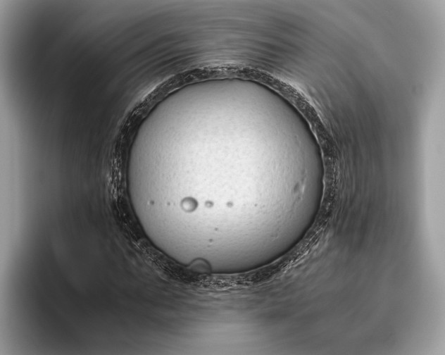 X0000095910871200801251008