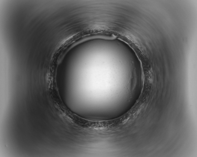 X0000095910872200801251008